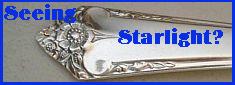 Starlight Silver Flatware on Liz CJ