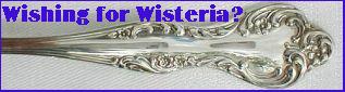 Wisteria Silver Flatware on Liz CJ